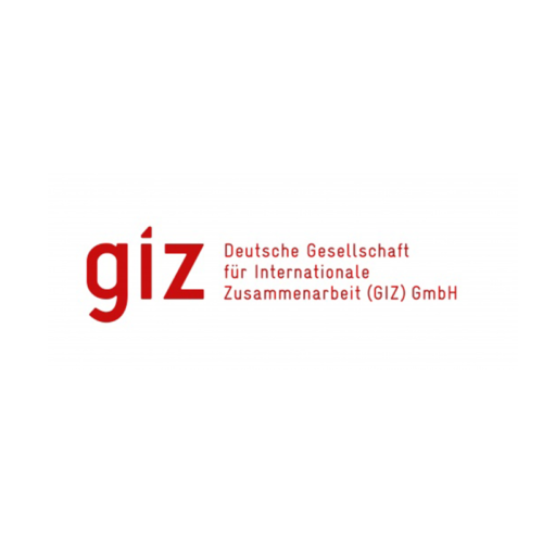 Client Logo 800x800 - GIZ