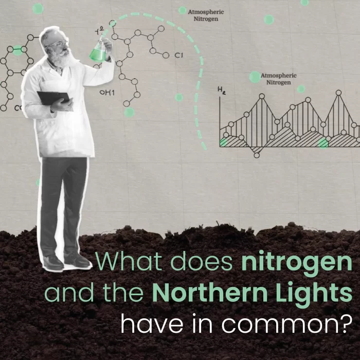 What does nitrogen and the Northern Lights have in common?